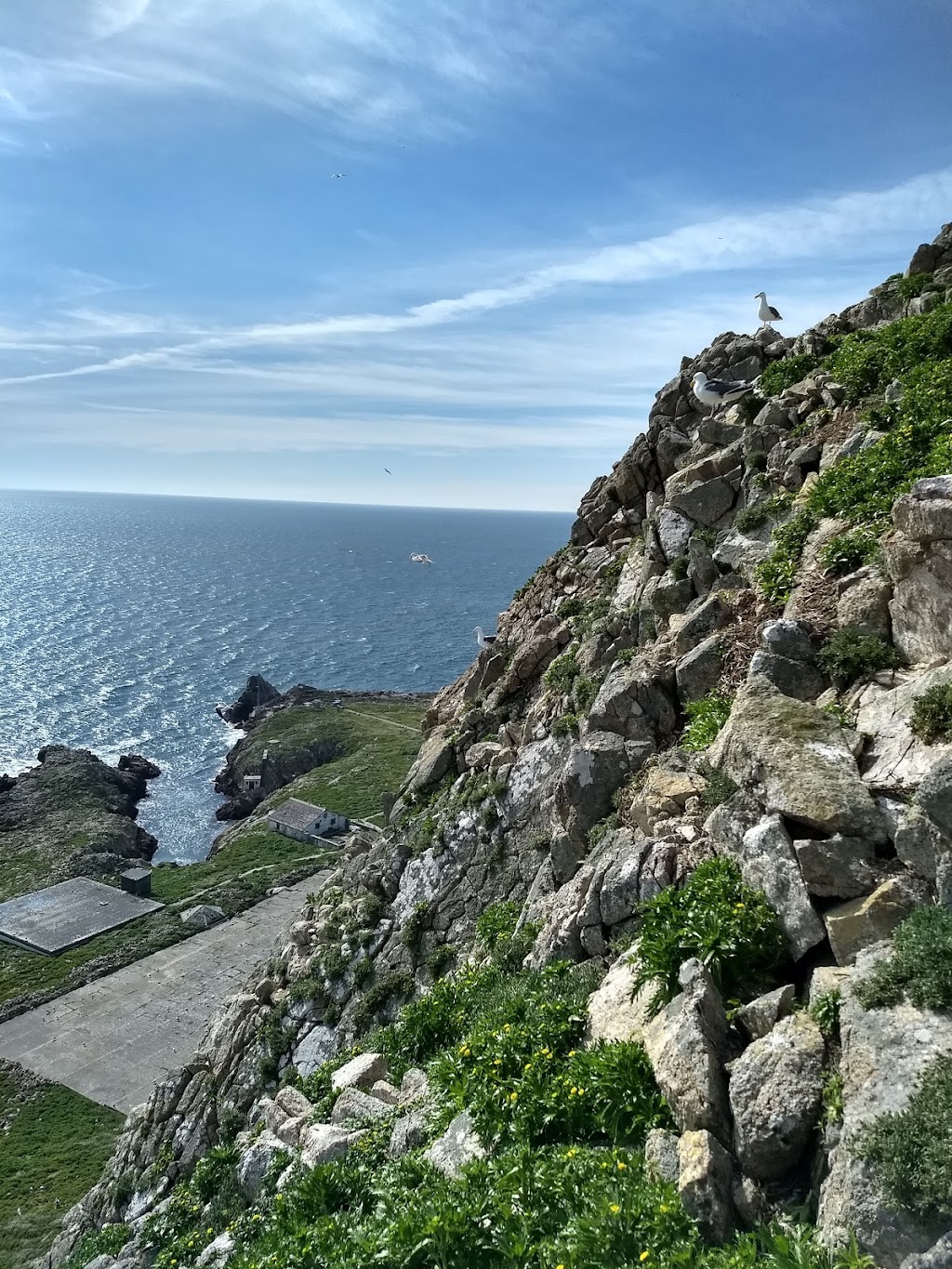 Farallon Islands | San Francisco, CA, USA | Phone: (415) 561-6625