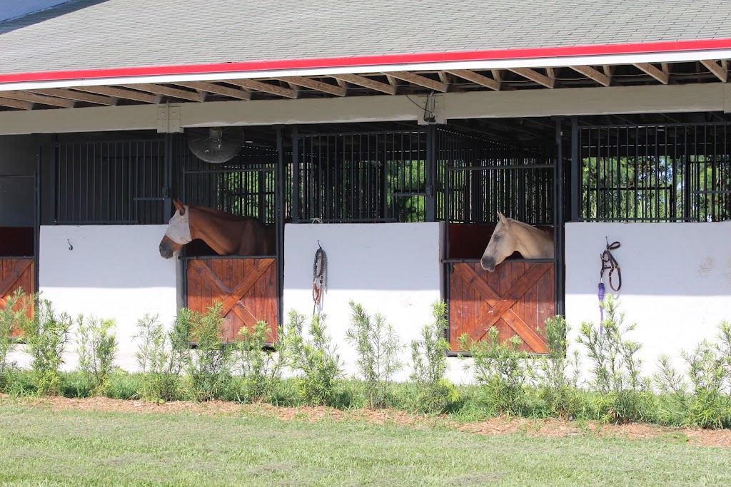 Sport Horse Stables, Corp. | 19525 SW 142nd Ave, Miami, FL 33177, USA | Phone: (305) 360-4104