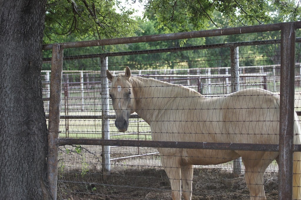 Younger Stables and Arena | 809 Younger Ranch Rd, Azle, TX 76020, USA | Phone: (817) 773-1479
