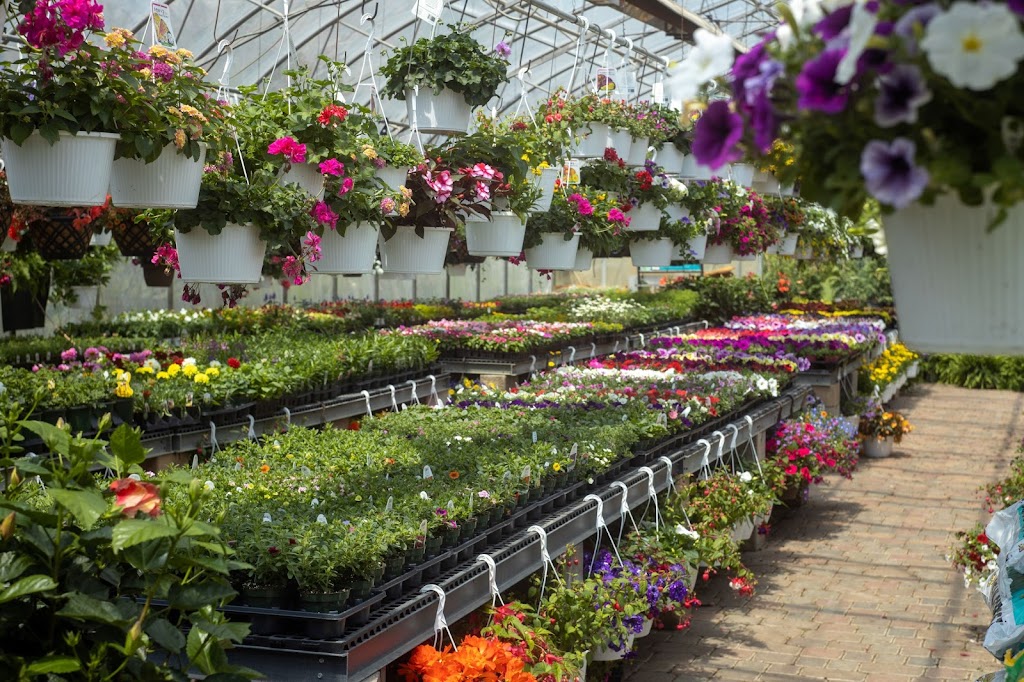 Country Farms Garden Center and Landscape Service | 1909 US-119, Greensburg, PA 15601, USA | Phone: (724) 837-4650