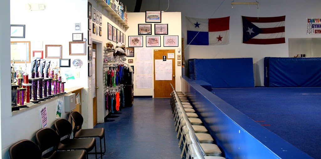 Wrights Gymnastics Noblesville & Ninja Zone | 1708 Pleasant St, Noblesville, IN 46060, USA | Phone: (317) 888-4805