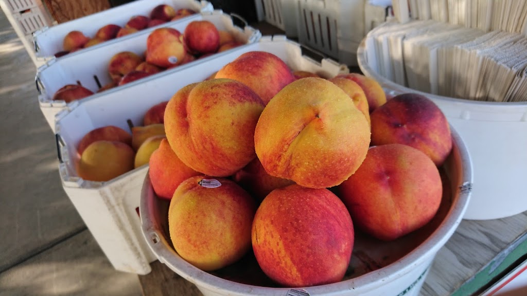 Blossom Trail Fruit Stand | 18501 E Kings Canyon Rd, Sanger, CA 93657, USA | Phone: (559) 787-3015 Blossom Trail Fruit Stand | 18501 E Kings Canyon Rd, Sanger, CA 93657, USA | Phone: (559) 787-3015