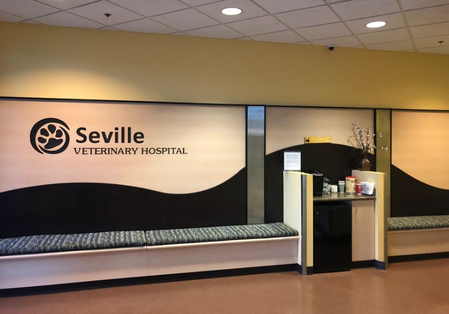 Seville Veterinary Hospital | 6348 S Higley Rd, Gilbert, AZ 85298, USA | Phone: (480) 279-2831