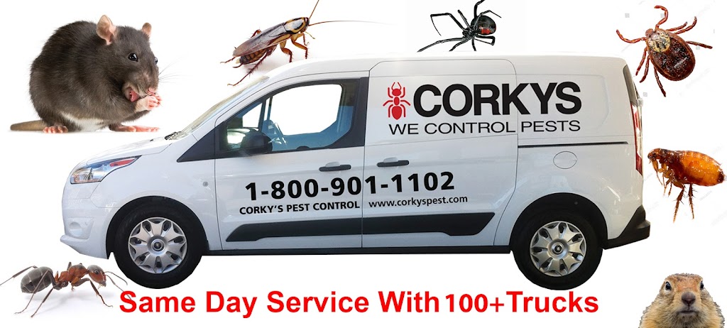 Corkys Pest Control | 909 Rancheros Dr, San Marcos, CA 92069, USA | Phone: (800) 901-1102