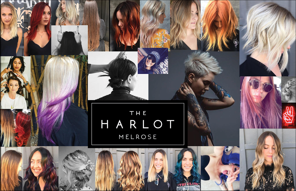 The Harlot | 7971 Melrose Ave, Los Angeles, CA 90046, USA | Phone: (310) 399-6525