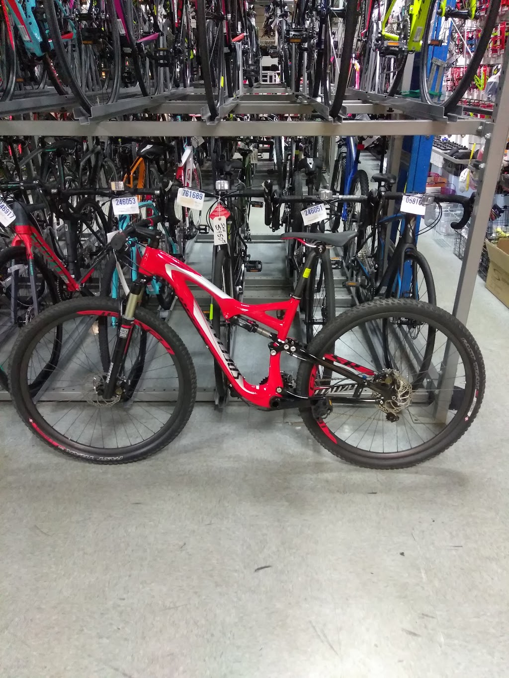 Big Wheel Bicycles USA, Inc | 7035 Taft St, Hollywood, FL 33024, USA | Phone: (954) 966-5545