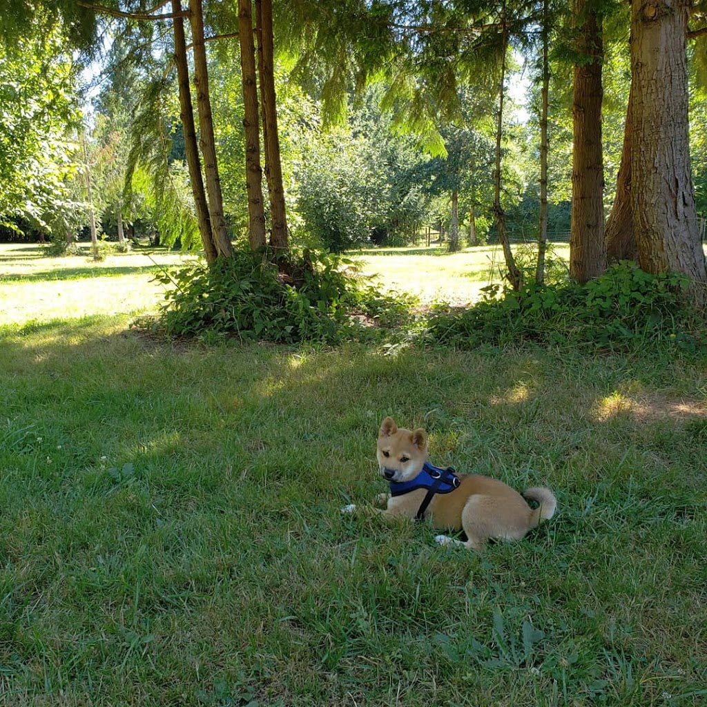 Kane Memorial Dog Park | 10910 NE 172nd Ave, Vancouver, WA 98682, USA | Phone: (360) 397-2285