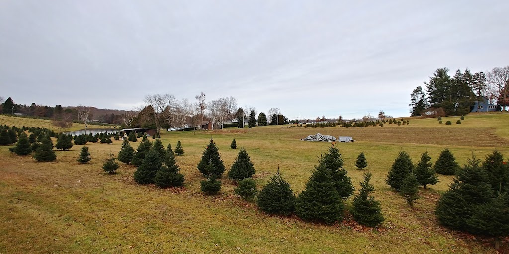 Cyphers Christmas Tree Farm | 179 Wise Rd, Butler, PA 16002, USA | Phone: (724) 477-8733