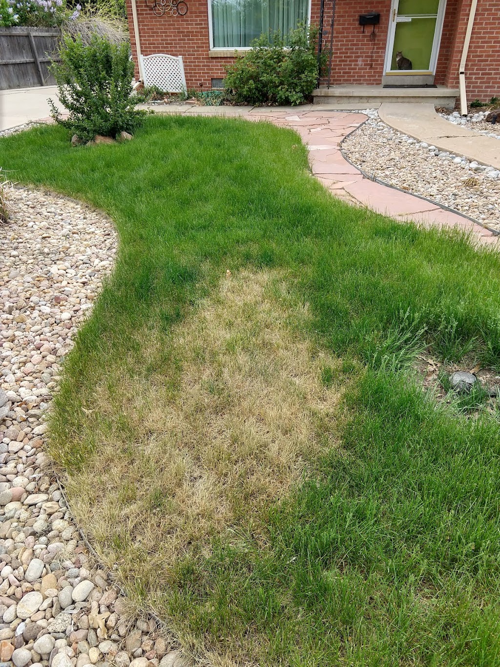 Fit Turf of North Denver | 557 Burbank St unit e, Broomfield, CO 80020, USA | Phone: (303) 221-6900