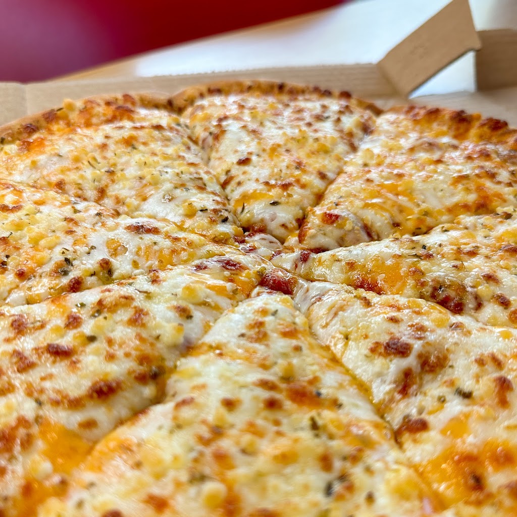 Dominos Pizza | 4000 Tecumseh Rd E, Windsor, ON N8W 1J6, Canada | Phone: (519) 948-6116