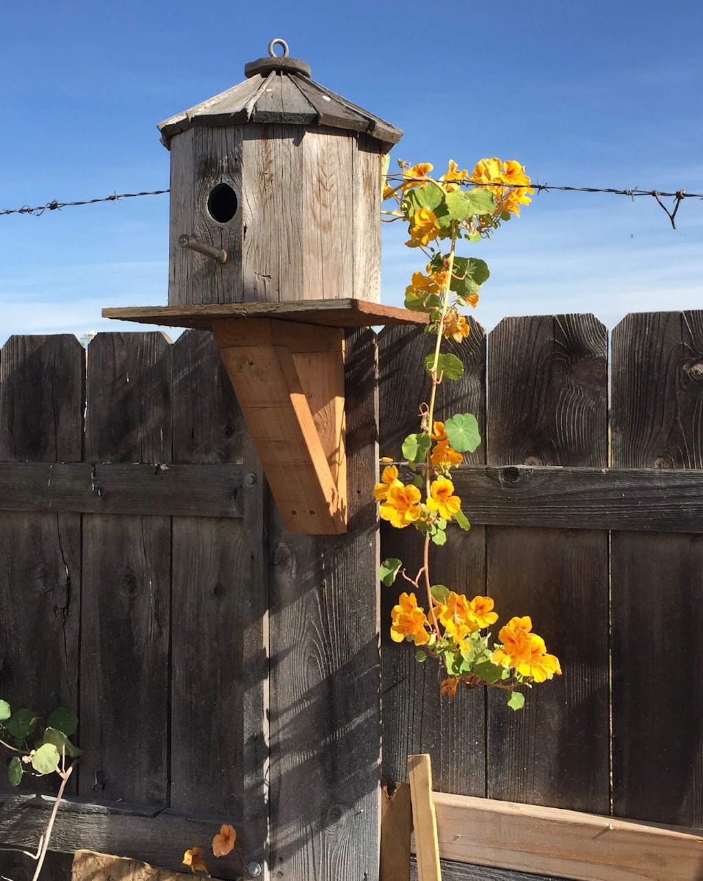 Vega’s Construction and Designer | N Cleveland St, Oceanside, CA 92054, USA | Phone: (323) 770-2863