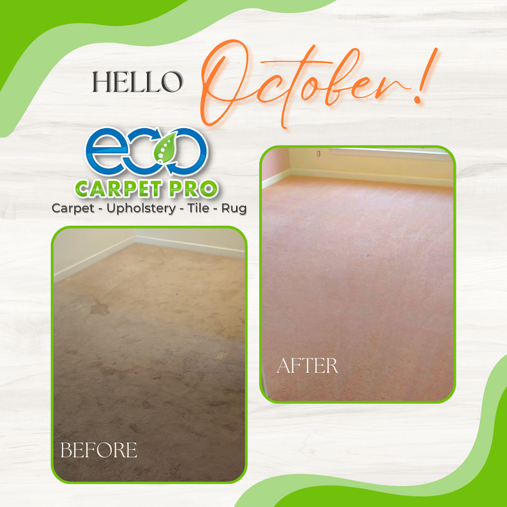 Eco Carpet Pro | 1108 Big Bethel Rd, Hampton, VA 23666 | Phone: (757) 809-2228