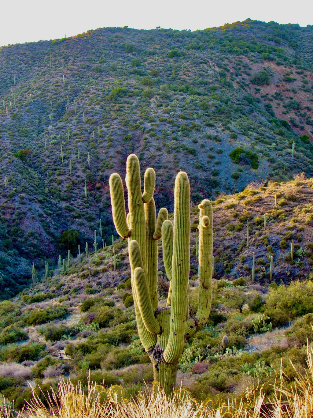 The Ranch at Desert Mountain | Scottsdale, AZ 85262, USA | Phone: (480) 595-4000