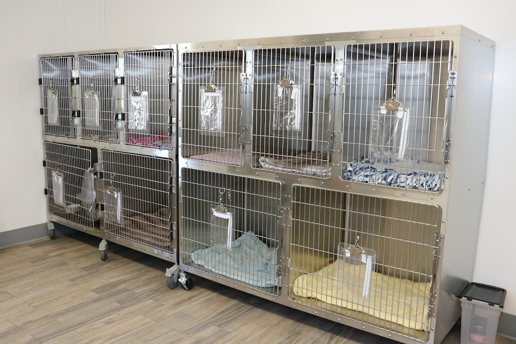 Pardeeville Veterinary Hospital | 409 S Main St, Pardeeville, WI 53954 | Phone: (608) 429-9930