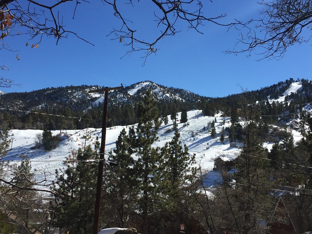 Ski View Chalet | 1334 Balsam Dr, Big Bear Lake, CA 92315, USA | Phone: (909) 752-0234