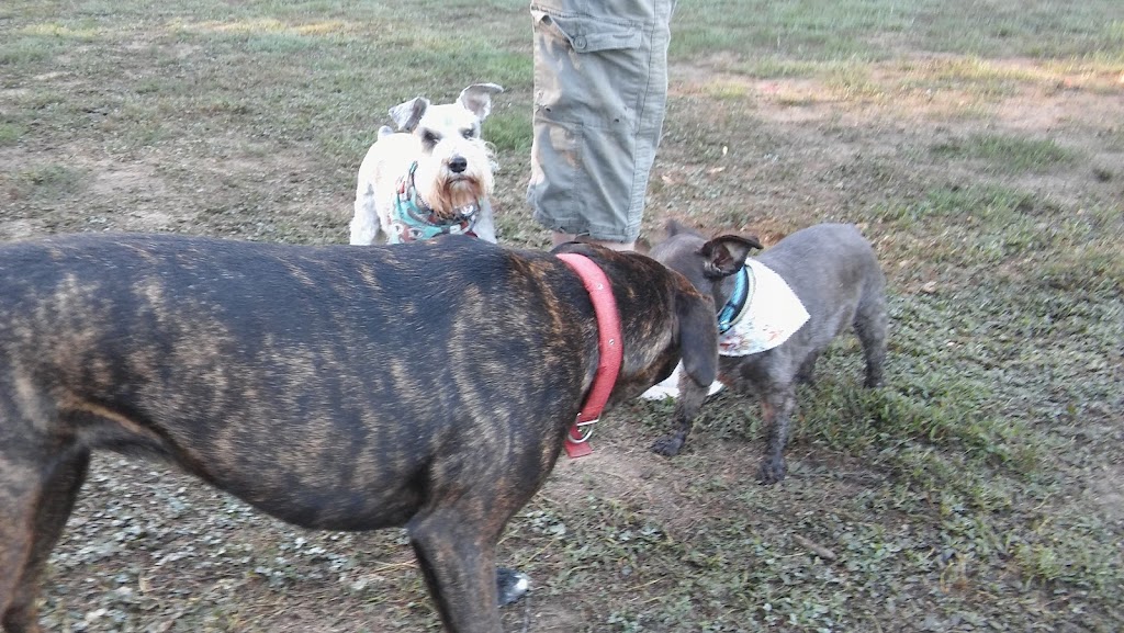 Pitner Road Dog Park | Pitner Rd NW, Acworth, GA 30101, USA | Phone: (770) 528-8890