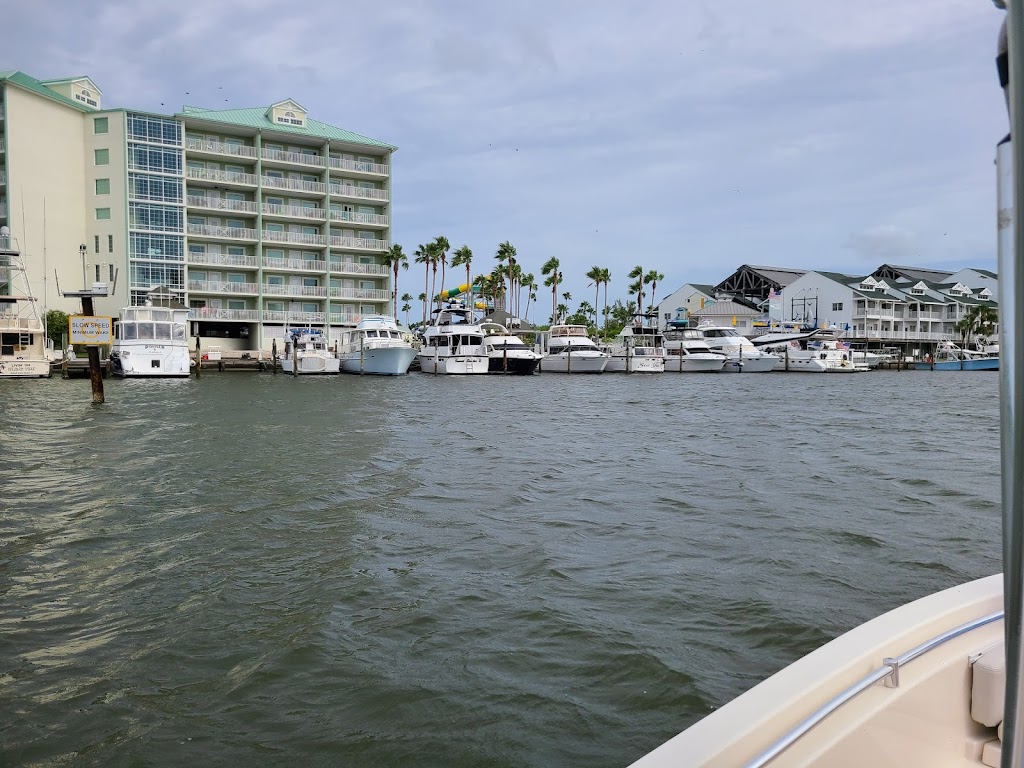 Daniel Martinez - State Farm Insurance Agent | 6520 4th St N, St. Petersburg, FL 33702, USA | Phone: (727) 289-5907