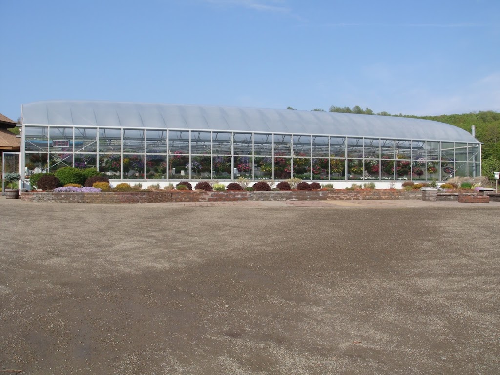 Watermans Greenhouse | 12317 Vaughn St, East Concord, NY 14055, USA | Phone: (716) 592-9186