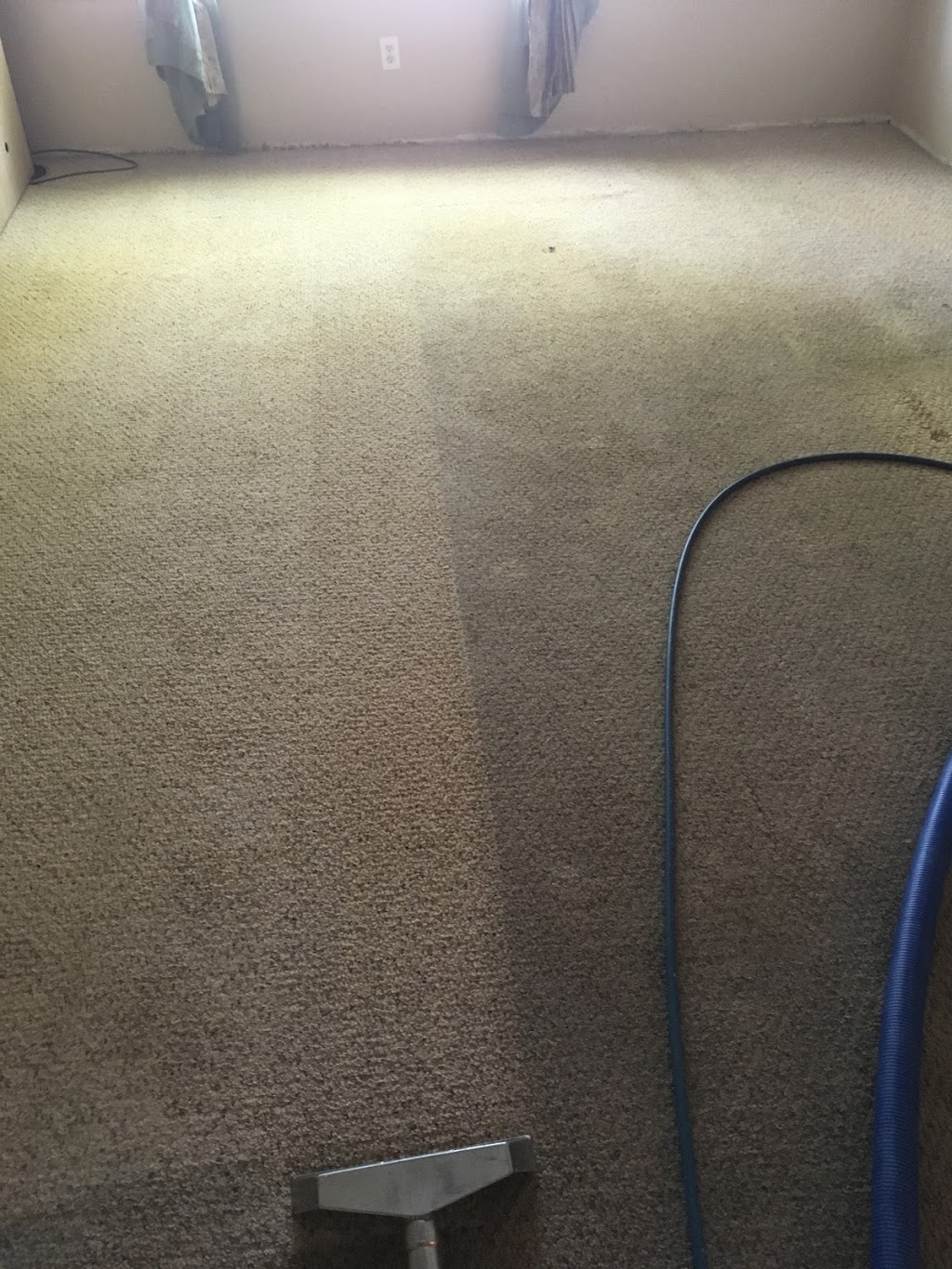 W L Jones Carpet Cleaning | 1060 Oakdale Ln, Lemoore, CA 93245, USA | Phone: (559) 925-1733