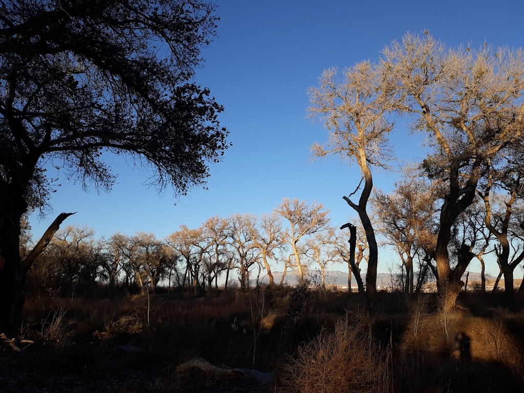 Valle de Oro National Wildlife Refuge | 7851 2nd St SW, Albuquerque, NM 87105, USA | Phone: (505) 248-6667
