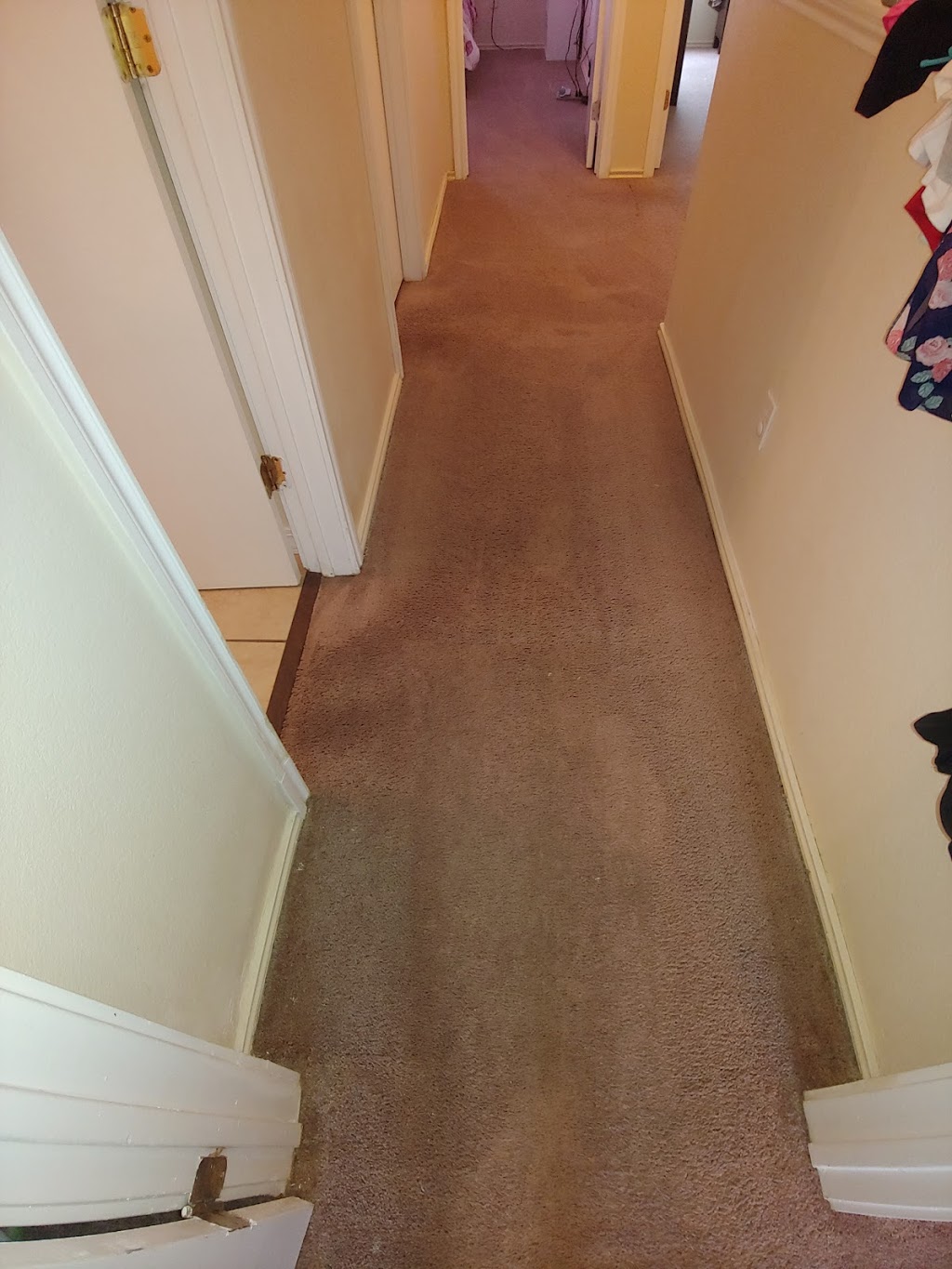 Full Steam Ahead Carpet Care | 1612 Roberts Ave, Austin, TX 78704, USA | Phone: (512) 774-7012