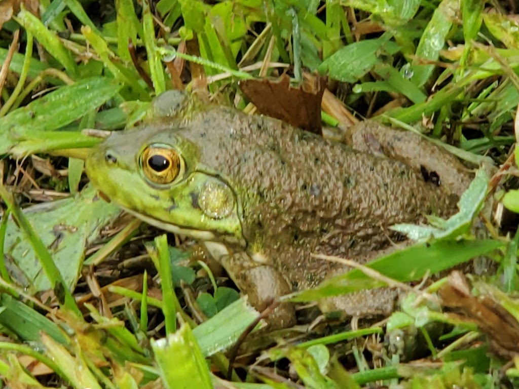 Homestead High School Environmental Center | Fort Wayne, IN 46814, USA | Phone: (260) 431-2200