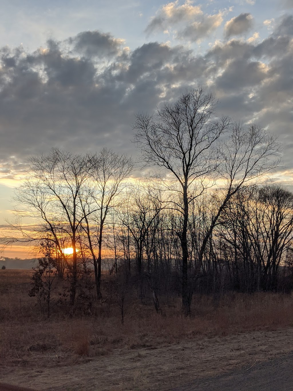 Pine Island State Wildlife Area | 609 W Cook St, Portage, WI 53901, USA | Phone: (888) 936-7463