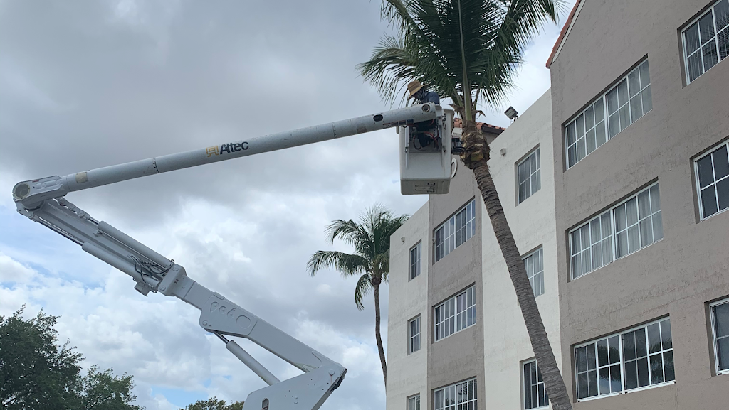 Miramar Nursery | 13250 SW 33rd St, Miramar, FL 33027, USA | Phone: (954) 736-7999