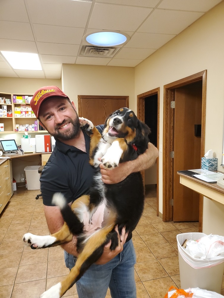 Optimum Veterinary Medical Group | 8531 Lexington Ave STE 101, Lincoln, NE 68505, USA | Phone: (402) 466-1383