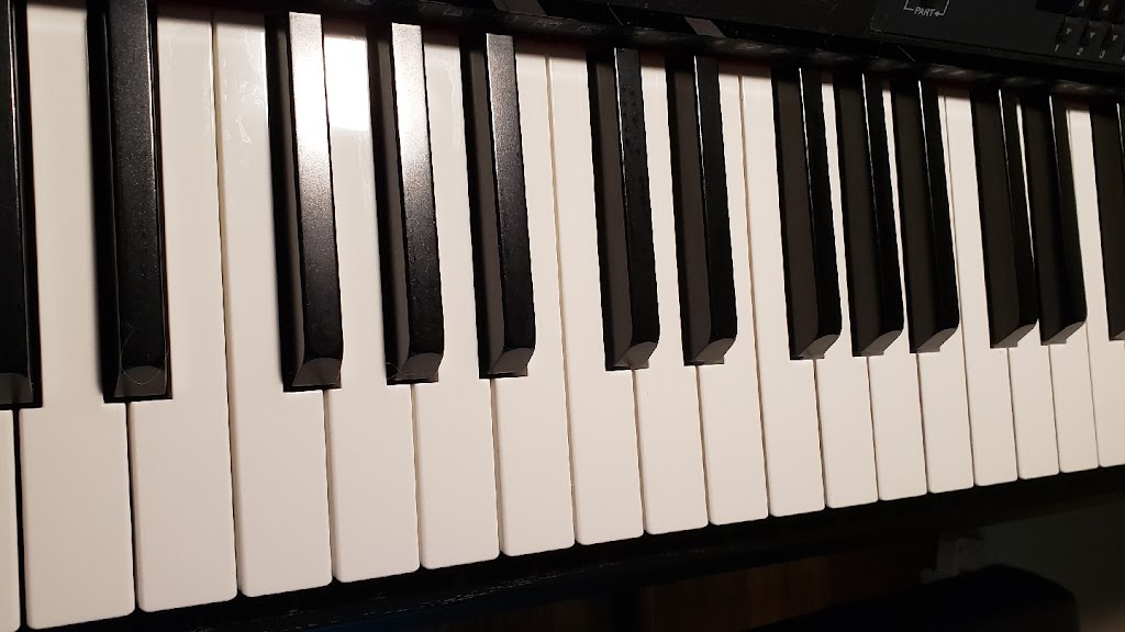 Gilmer Voice and Piano Lessons | 2714 Herndon St, Valrico, FL 33596 | Phone: (813) 653-2477