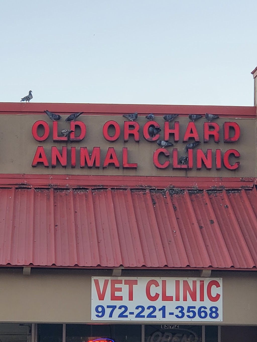 Old Orchard Animal Clinic | 1392 W Main St, Lewisville, TX 75067, USA | Phone: (972) 221-3568