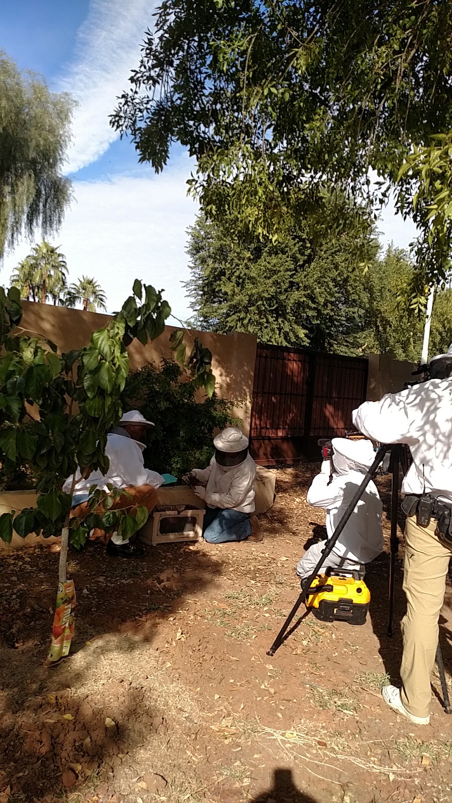 The Beehive Bee and Wasp Removal | 1142 E Hackamore St, Mesa, AZ 85203, USA | Phone: (602) 600-5382