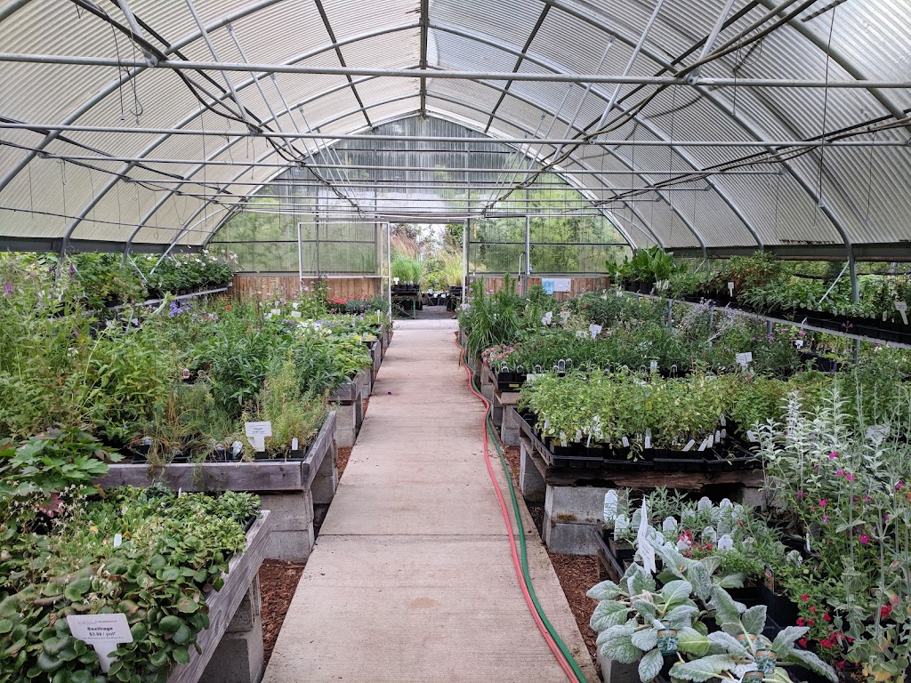 Brothers Greenhouses | 3200 Victory Dr SW, Port Orchard, WA 98367, USA | Phone: (360) 674-2558