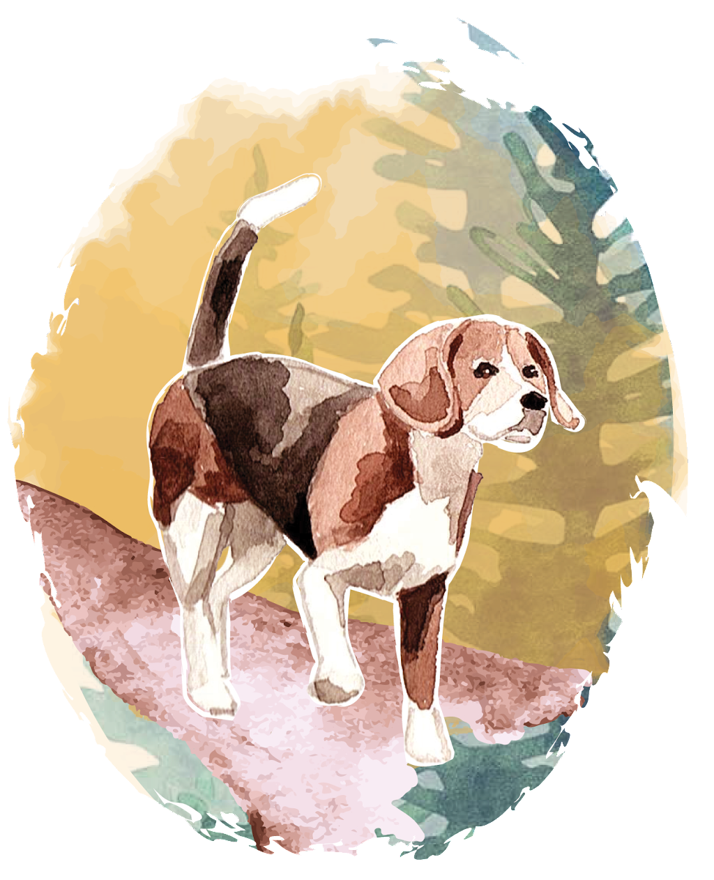 Wandering Beagle Counseling, PLLC | 32186 Castle Ct Suite 230, Evergreen, CO 80439, USA | Phone: (720) 837-1015