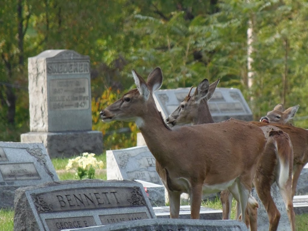 Mount Rose Cemetery | 2 North, Jefferson Ave, Moundsville, WV 26041, USA | Phone: (304) 845-5559