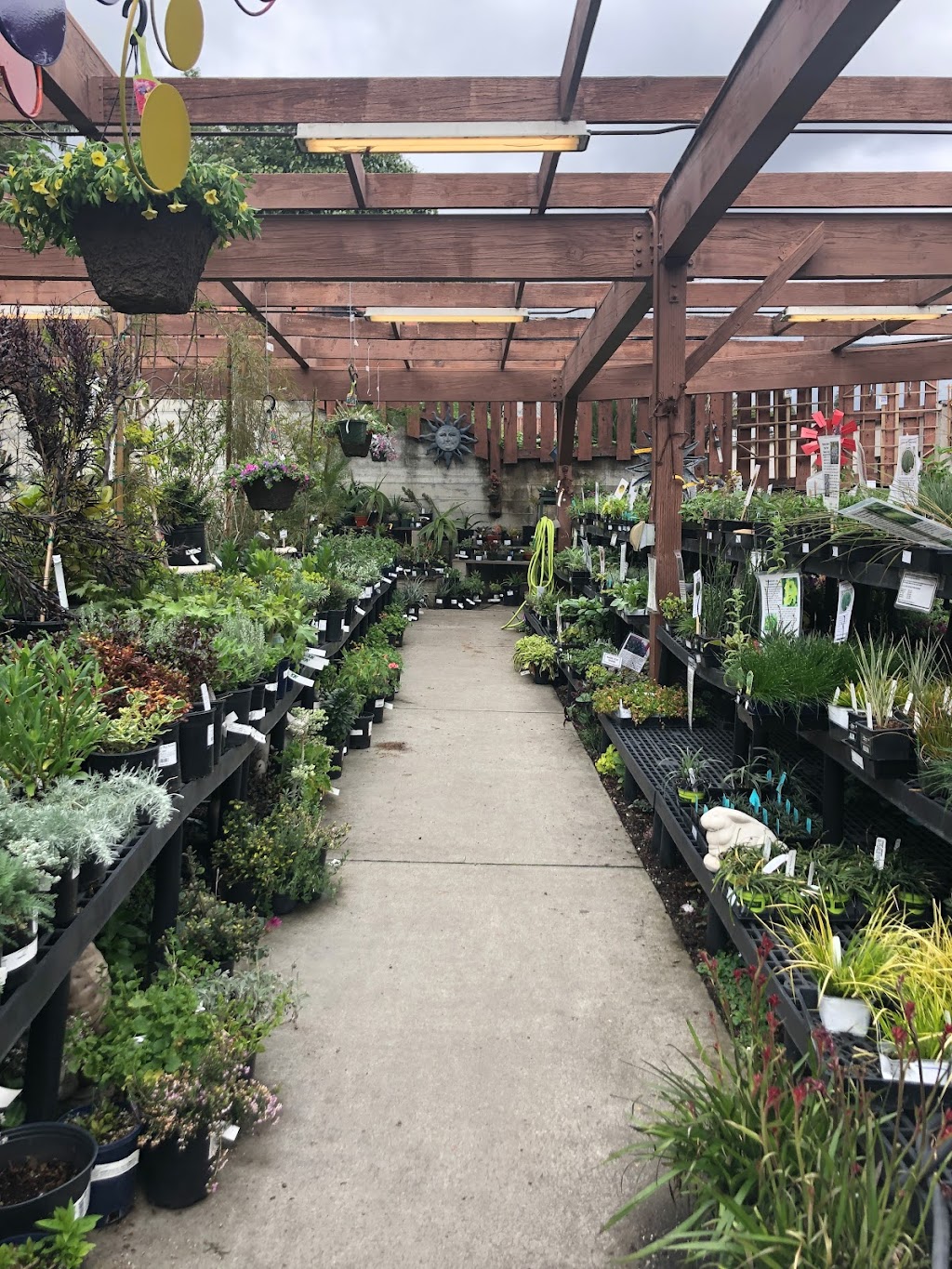 Ace Garden Center | 4001 Grand Ave, Oakland, CA 94610, USA | Phone: (510) 652-9143