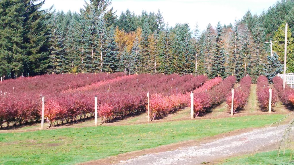 Redland Blueberry Farm | 18900 S Pear Rd, Oregon City, OR 97045, USA | Phone: (503) 631-4141