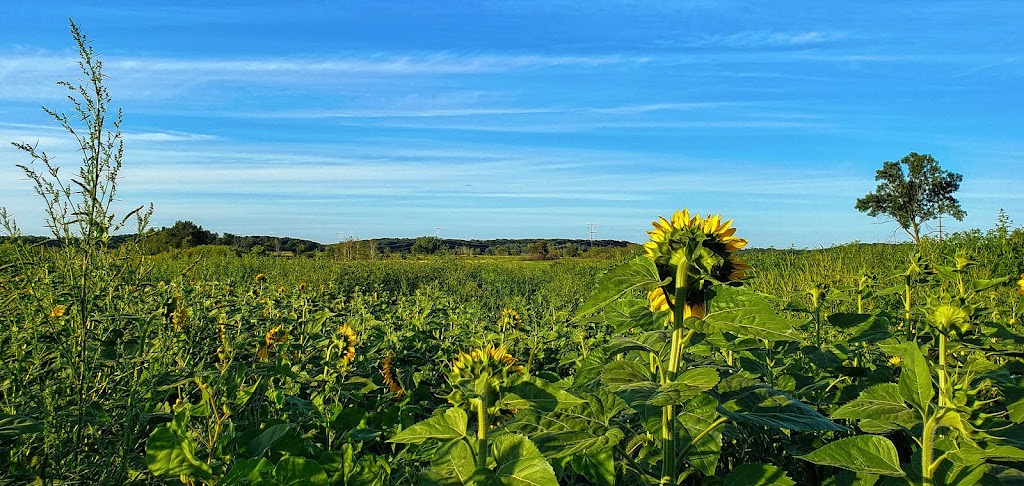 Goose Lake Drumlins State Natural Area | Marshall, WI 53559, USA | Phone: (888) 936-7463