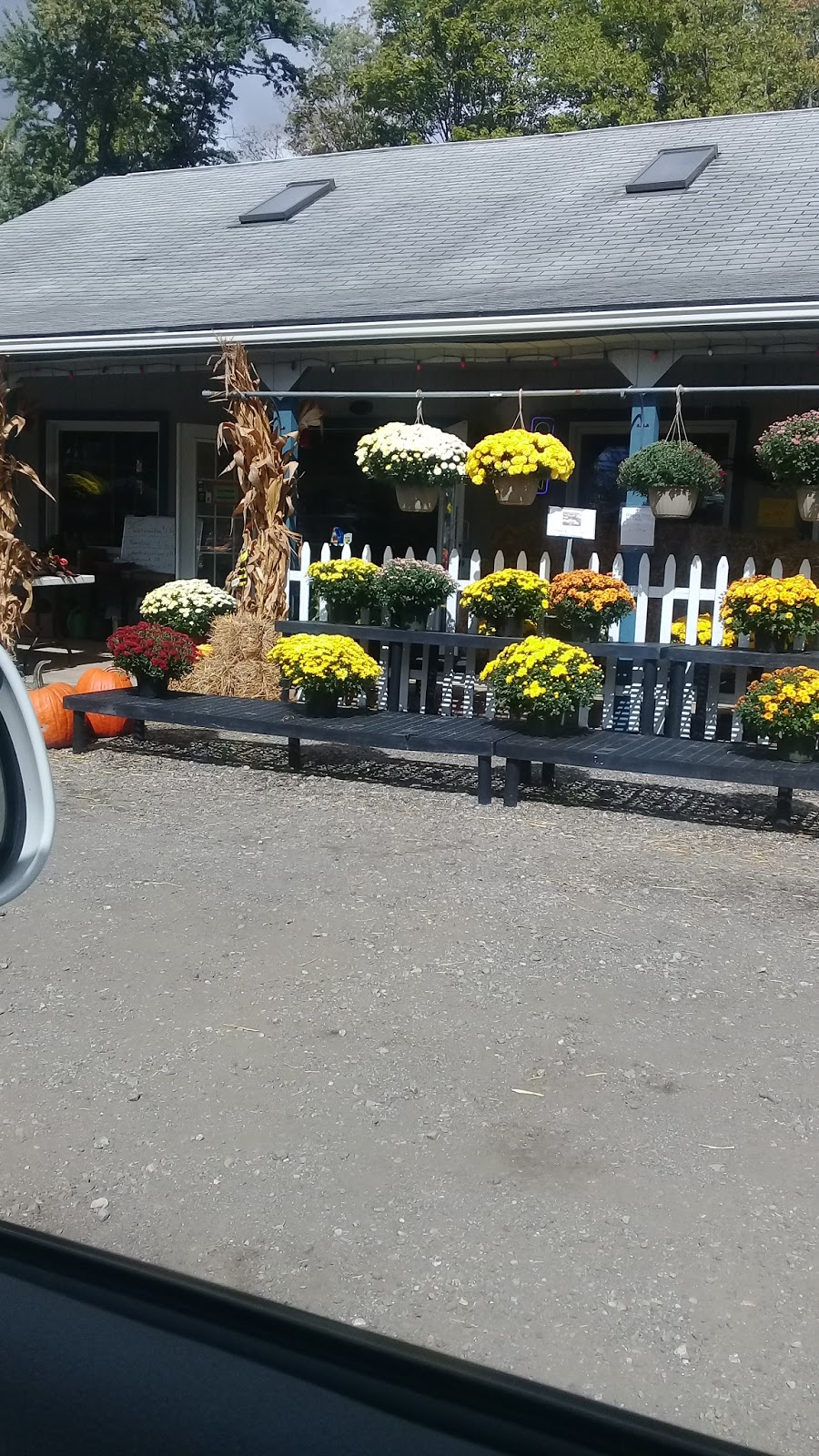 Country Meadows Garden Center | 11148 Chardon Rd, Chardon, OH 44024, USA | Phone: (440) 285-0955