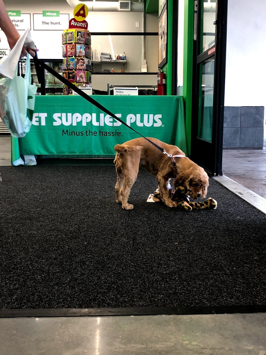 Pet Supplies Plus - Winter Park, FL | 4270 Aloma Ave #136, Winter Park, FL 32792, USA | Phone: (321) 295-7495