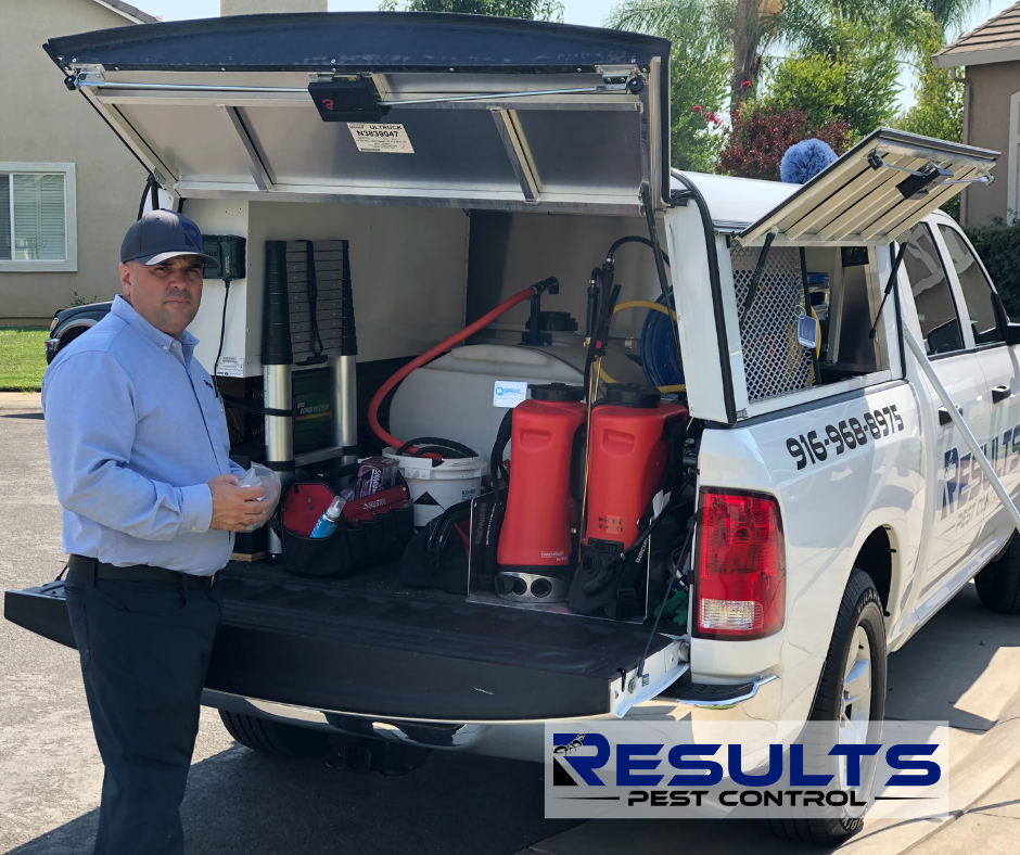 Results Pest Control | 11809 Azalea Garden Way, Rancho Cordova, CA 95742 | Phone: (916) 980-6130