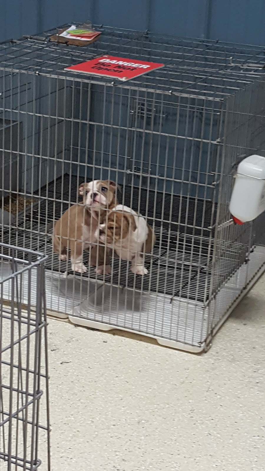 Tullys Kennels | 7777 D St, Omaha, NE 68124, USA | Phone: (402) 391-2456