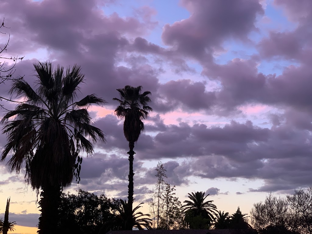 Prospect Park | 1352 Prospect Dr, Redlands, CA 92373, USA | Phone: (909) 798-7655