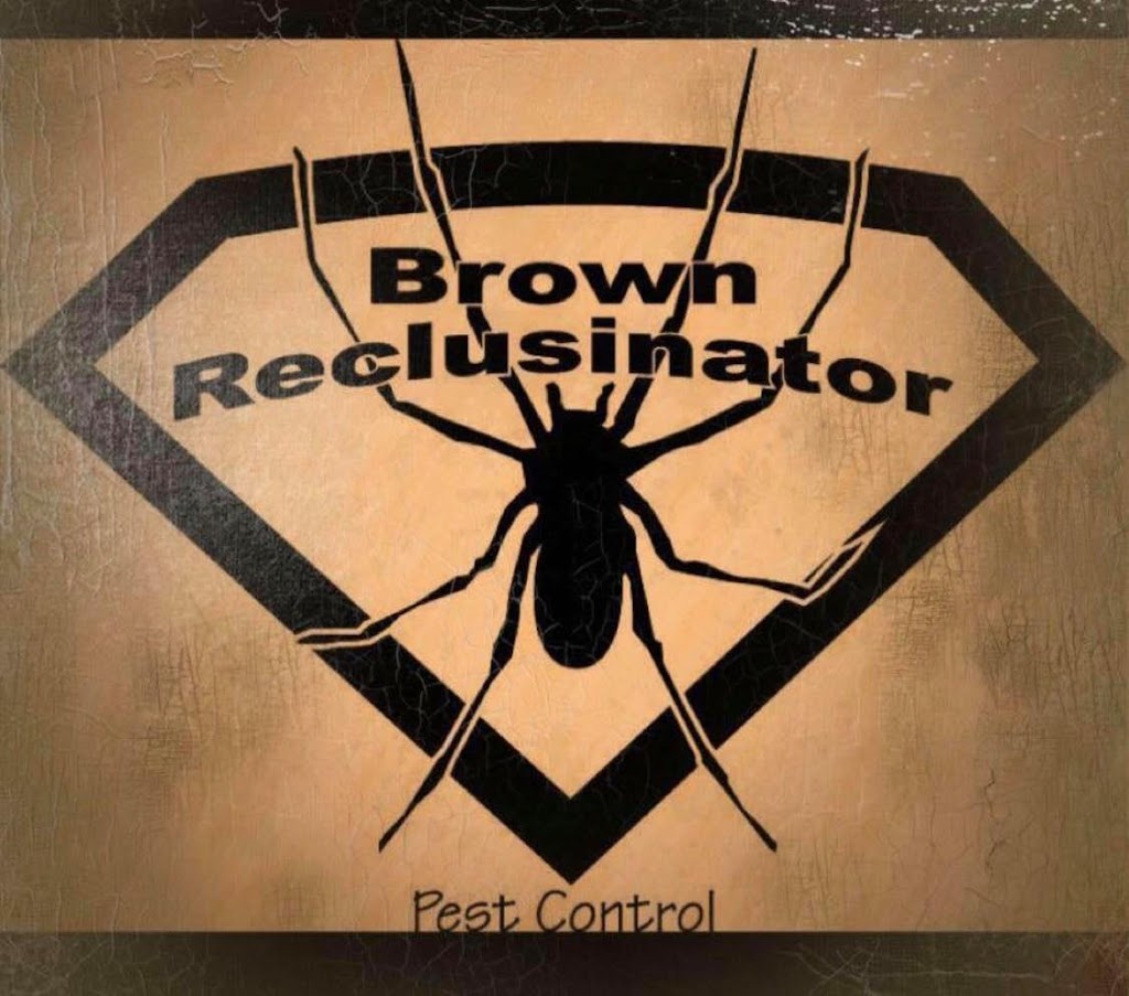 Brown Reclusinator Pest Control | 4516 E Central Ave suite c, Wichita, KS 67208, USA | Phone: (316) 742-0326