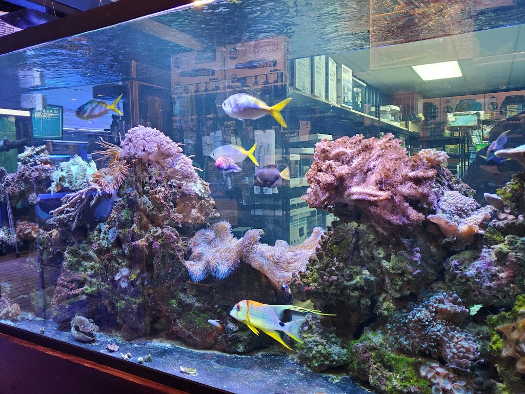 The Reef Aquarium Shop | 5613 N Keystone Ave, Indianapolis, IN 46220 | Phone: (317) 253-9695