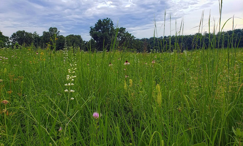 Madison Audubons Faville Grove Sanctuary | W7480 Prairie Ln, Lake Mills, WI 53551, USA | Phone: (608) 255-2473