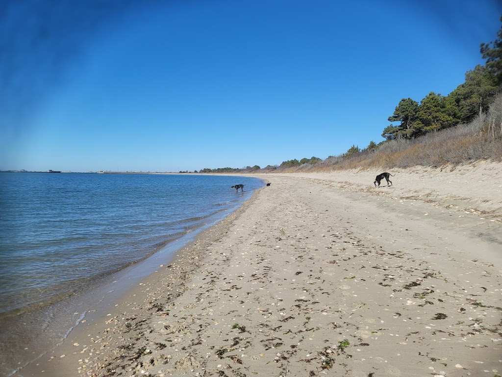 Kiptopeke State Park | 3540 Kiptopeke Dr, Cape Charles, VA 23310, USA | Phone: (757) 331-2267