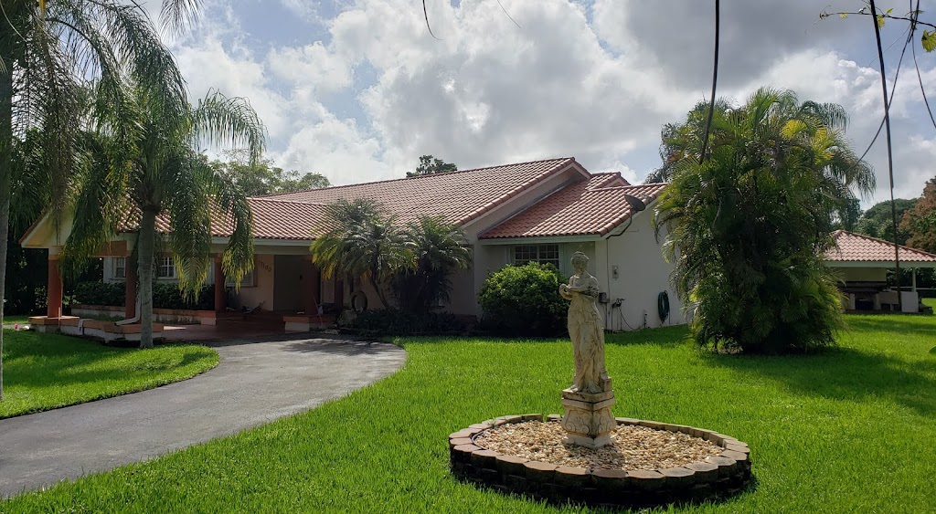 Roofer Mike Inc | 473 Plover Ave, Miami Springs, FL 33166, USA | Phone: (305) 519-7879