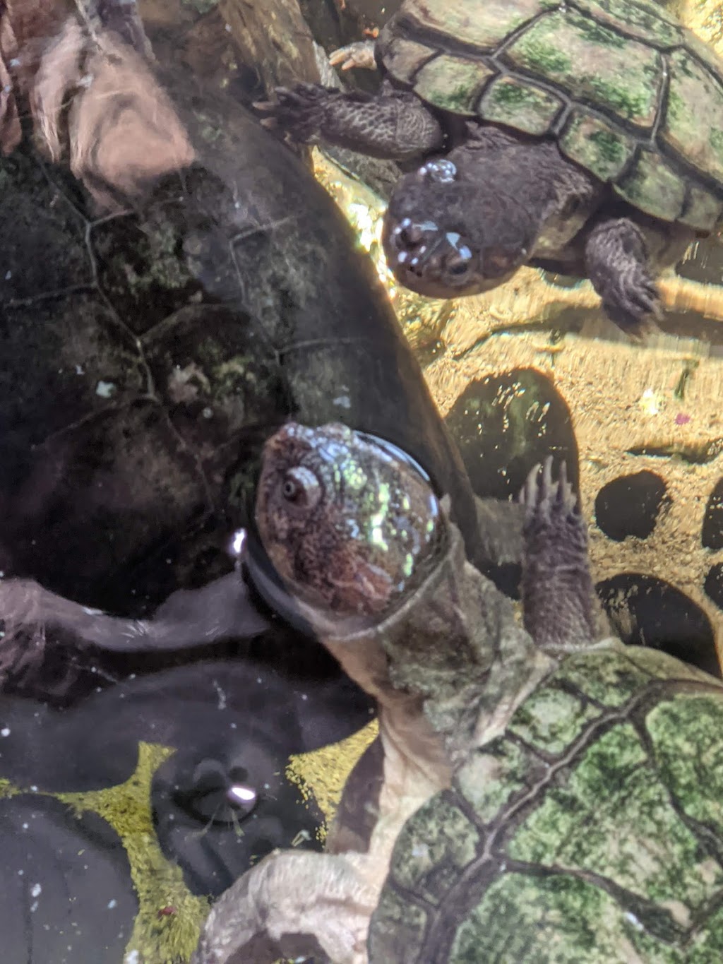 Creative Pet Supply | 305 N Harbor Blvd, San Pedro, CA 90731, USA | Phone: (310) 832-9929