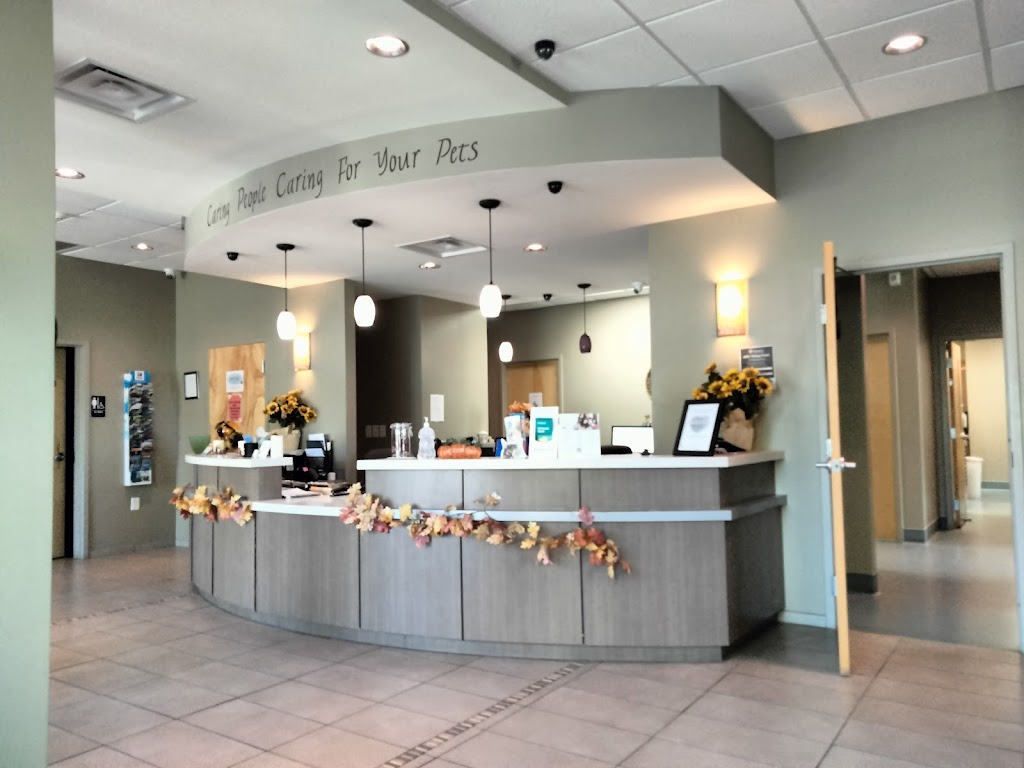 Priest Lake Veterinary Hospital - Nashville Veterinarian | 2445 Morris Gentry Bv, Antioch, TN 37013, USA | Phone: (615) 361-4646